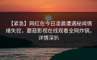 【紧急】网红在今日凌晨遭遇秘闻情绪失控，蘑菇影视在线观看全网炸锅，详情深扒