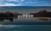 gay做爱视频