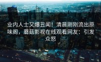 业内人士又爆丑闻！清晨刚刚流出原味阁，蘑菇影视在线观看网友：引发众怒