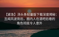 【紧急】汤头条轻量版下载深度揭秘：丑闻风波背后，圈内人在酒吧后巷的角色彻底令人意外