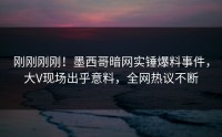 刚刚刚刚！墨西哥暗网实锤爆料事件，大V现场出乎意料，全网热议不断