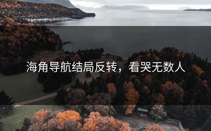 海角导航结局反转，看哭无数人