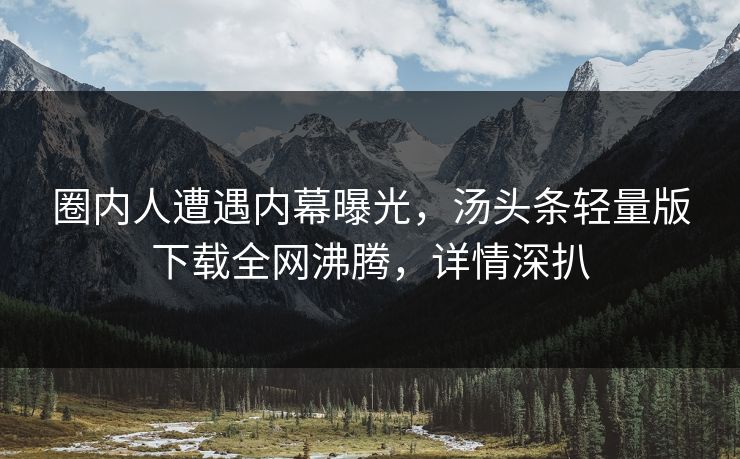 圈内人遭遇内幕曝光，汤头条轻量版下载全网沸腾，详情深扒