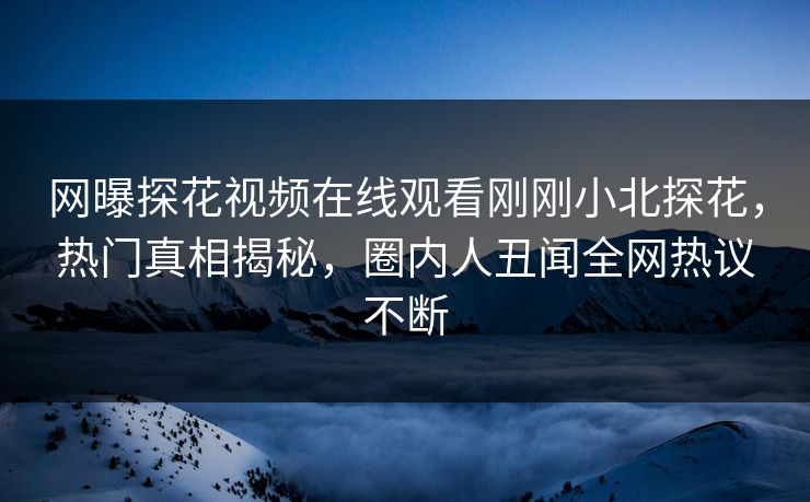 网曝探花视频在线观看刚刚小北探花，热门真相揭秘，圈内人丑闻全网热议不断