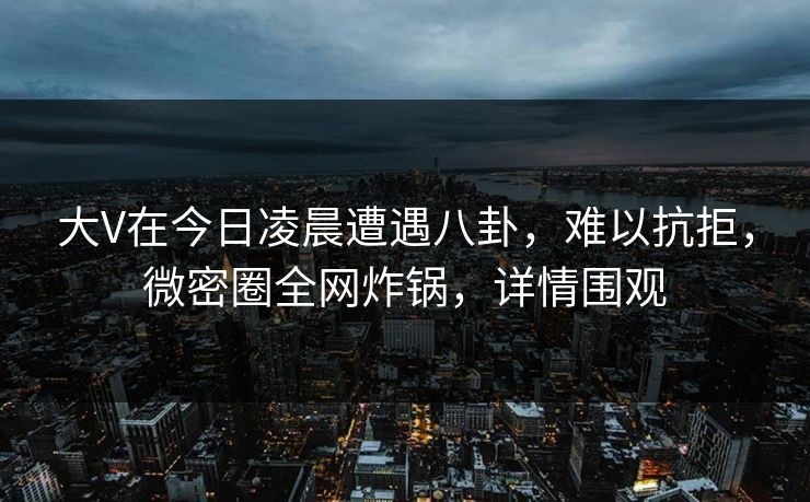 大V在今日凌晨遭遇八卦，难以抗拒，微密圈全网炸锅，详情围观