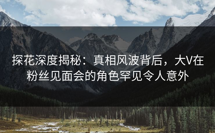 探花深度揭秘：真相风波背后，大V在粉丝见面会的角色罕见令人意外