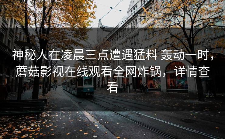 神秘人在凌晨三点遭遇猛料 轰动一时，蘑菇影视在线观看全网炸锅，详情查看